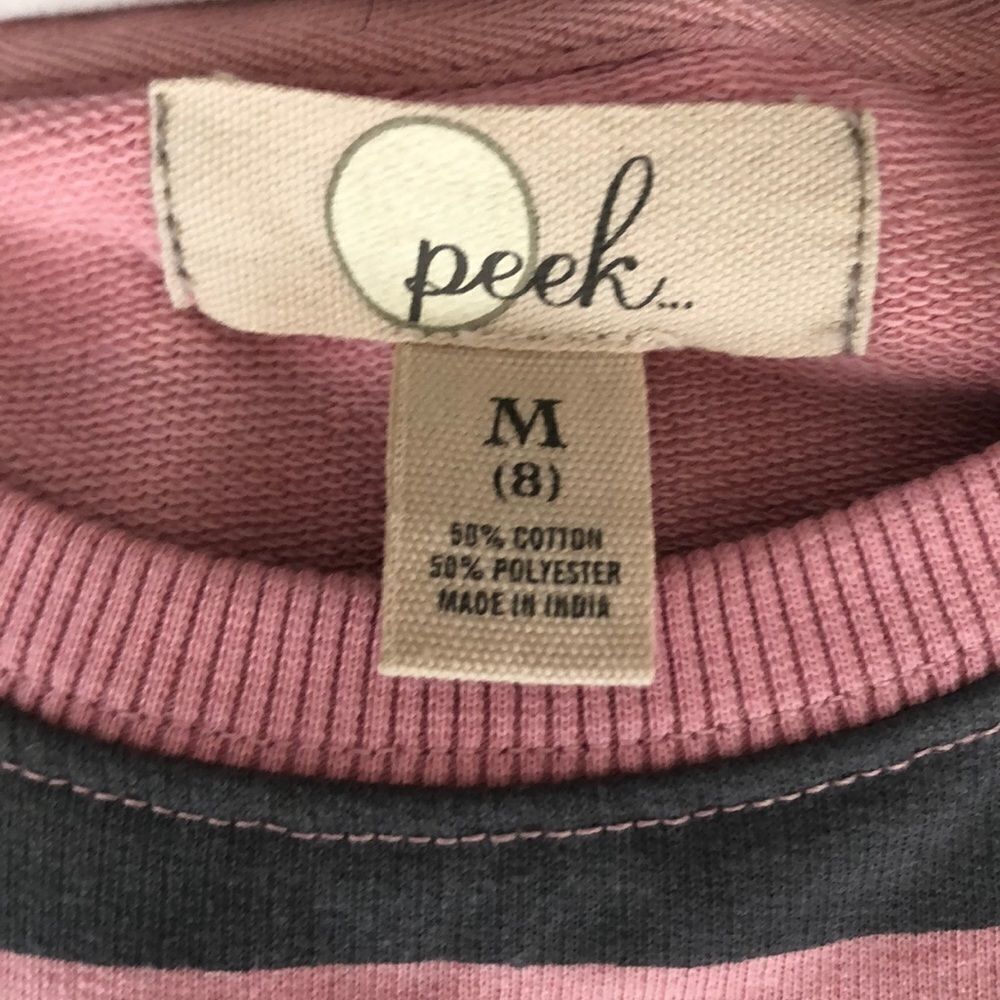 Peek Striped Aren’t You Curious Dress - Picture 8 of 9